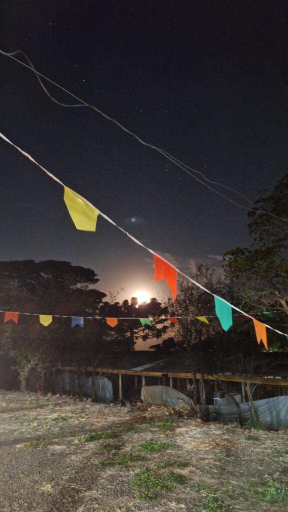 Bandeiras da festa junina a luz do luar
