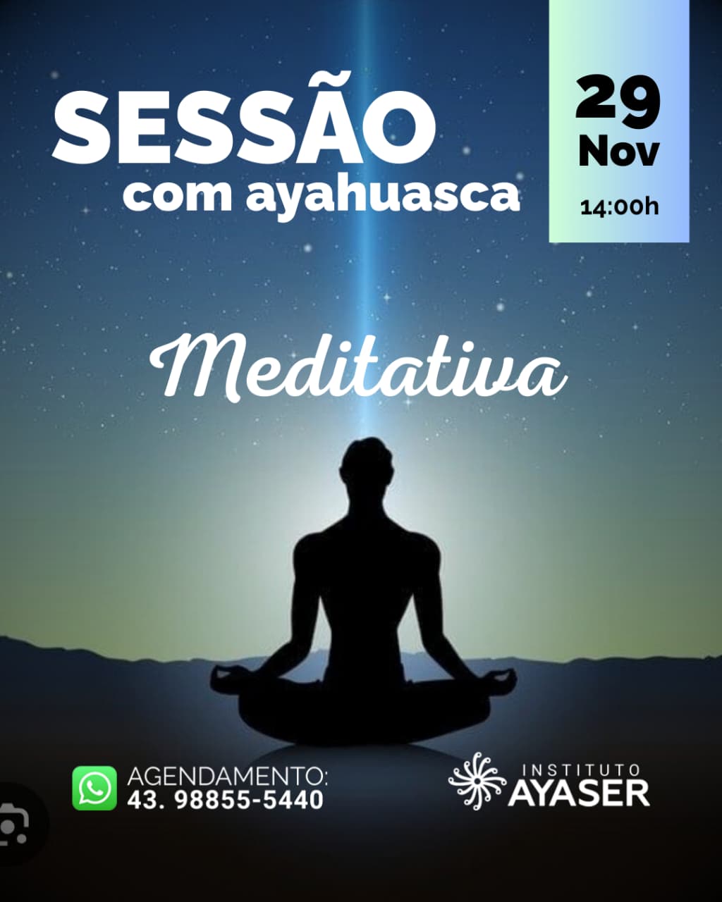 Meditativa 29-11